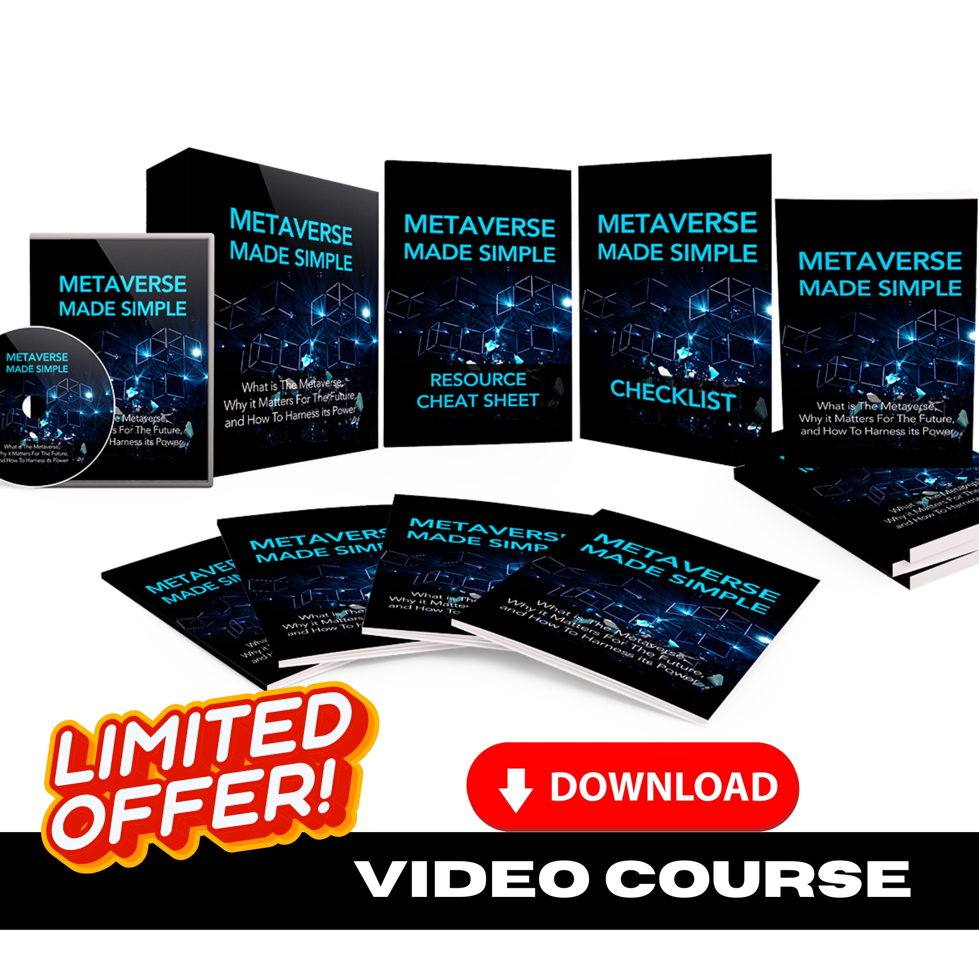 Metaverse Made Simple Upgrade Package (Video Course)